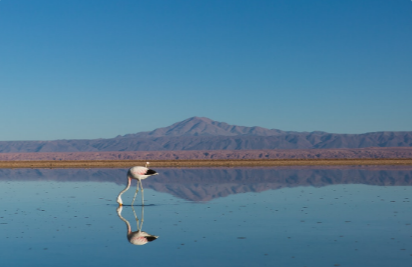Lago Chungará